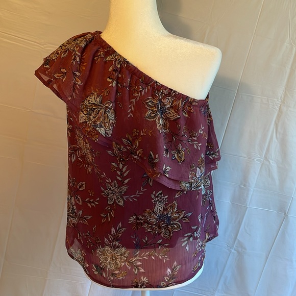 Bundle-1 Paige Skinny Verdugo Jeans Size 27 - Iris Pant Size 5 and 2 Summer tops - Picture 8 of 16